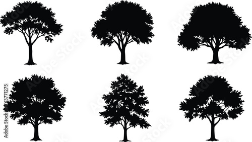 Set of six detailed deciduous tree silhouettes for landscape, forest, and nature design projects in black vector illustration style