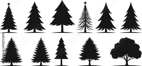 Collection of pine and oak tree silhouettes, black forest trees vector set, evergreen and deciduous nature design elements illustration