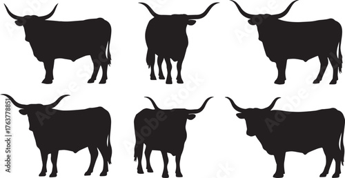 Silhouetted Cattle Collection Six Longhorn Bulls in Standing Poses, Art Design