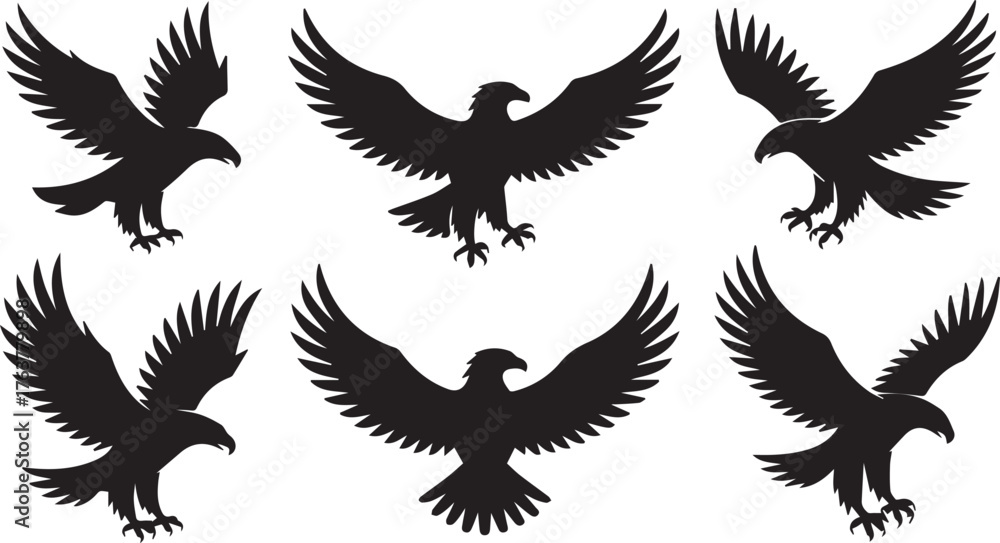 Obraz premium Six Black Silhouette Eagles in Flight, Wings Spread, Landing Poses on a White Background