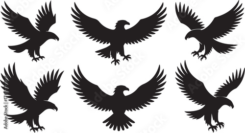 Six Black Silhouette Eagles in Flight, Wings Spread, Landing Poses on a White Background