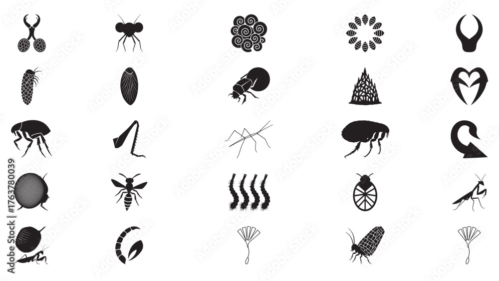 Fototapeta premium Collection of Black Insect Silhouettes and Icons graphic