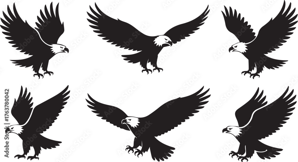 Obraz premium Six Majestic Bald Eagle Silhouettes in Varied Flight Poses, Design on White