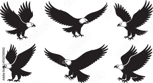Six Majestic Bald Eagle Silhouettes in Varied Flight Poses, Design on White