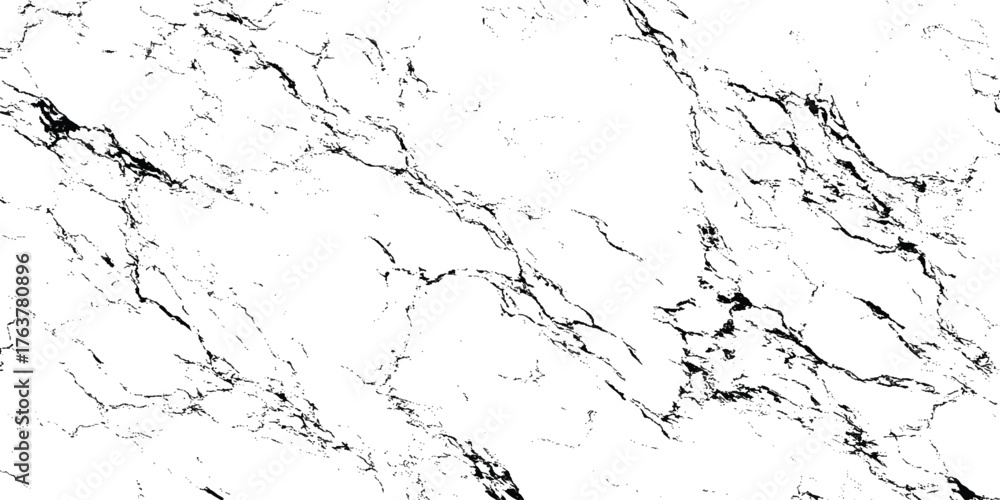 Obraz premium Abstract Black White Crack Texture Distressed Earth Pattern Background.