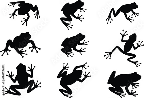 Frog silhouette illustration set, black and white amphibian vector, dynamic leap and crawl poses artwork, animal movement design, nature graphic elements