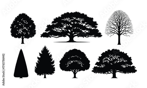 Different tree silhouettes including oak pine and deciduous trees various shapes
