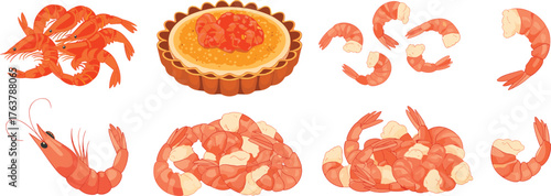 Shrimp illustration set, stylized seafood vector artwork, peeled and whole shrimp design, tart dish with shrimp topping, culinary graphic elements