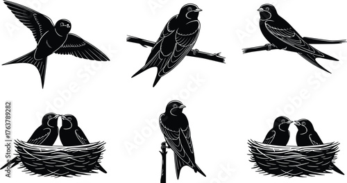 Swallow bird illustrations, black and white sketches, perched and flying poses, nest interaction artwork, avian vector set, nature design elements