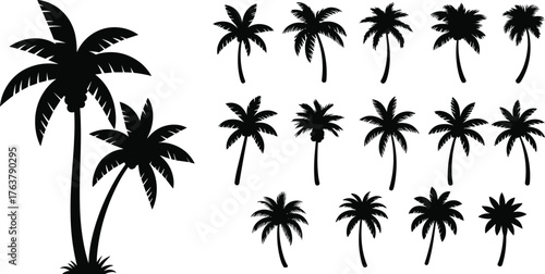 Tropical palm tree silhouette collection, coconut tree vector illustration, summer beach design element, exotic nature black icon set for vacation background