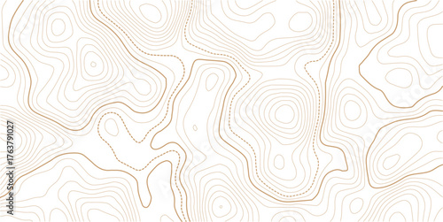 Stylized topographic contour map. Geographic line mountain relief. Abstract lines or wavy backdrop background. Cartography, topology, or terrain path concept. Vector  Illustration.