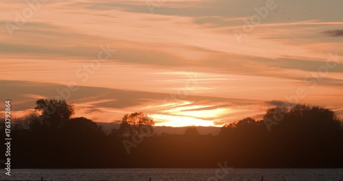 Sunset dramatic sky landscape birds fly over silhouette trees