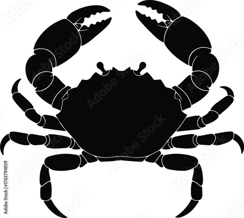 Vector black crab silhouette with claws isolated on white background illustration
