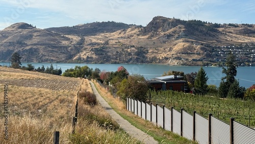 Photos Scenic views from a hiking trail in Vernon, BC