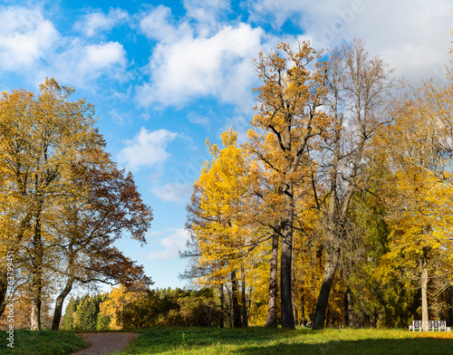 Autumn view of the alleys of Catherine Park. Pushkin, Saint Petersburg, Russia