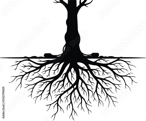 Vector tree with root system black graphic silhouette illustration