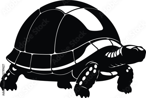 Vector turtle illustration of a tortoise pet black and white silhouette illustration