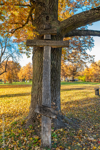 An ancient cross near an oak tree. Inscription: To the warriors of Holy Rus'. For the Tsar, for Rus', for our Faith.