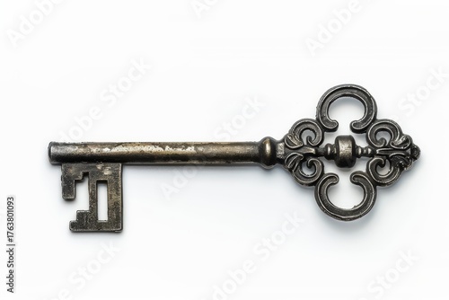 Antique Key: An intricately designed antique key, a symbol of unlocking secrets, potential, and new beginnings, rests gracefully, evoking curiosity and a sense of history.