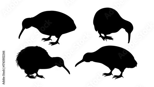 Cute kiwi vector illustration of wild animal silhouettes