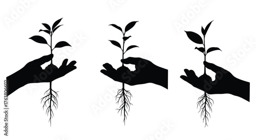 Hands gently cradling young plants with visible root systems depicted