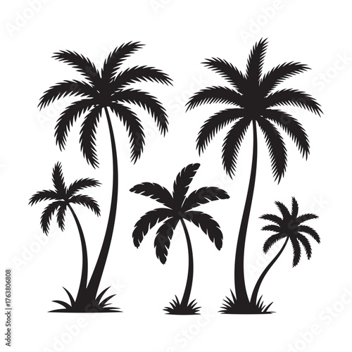 Palm trees silhouettes