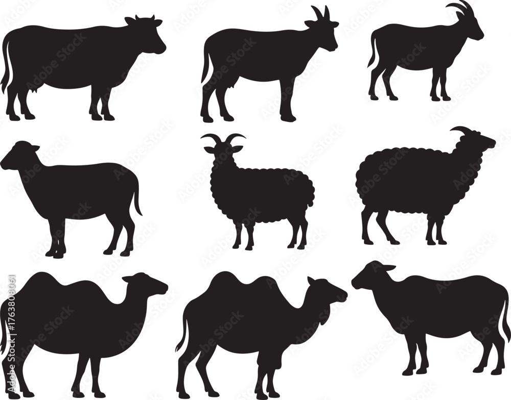 Fototapeta premium Farm Animals Silhouette Collection Vector Illustration Set Featuring Cow Goat Sheep and Camel in Simple Black Shapes on White Background