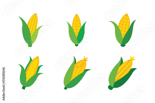Set of organic corn cob icons, Colorful and flat design style isolated on white background.