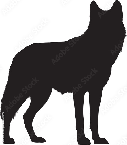 Silhouette of a Standing Wolf Isolated on White Background for Graphic Design Projects and Wildlife Illustrations depicting Wolves in their Natural Habitat