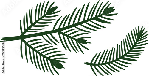 Isolated Dark Green Pine Sprigs with Needles, Simple Minimalistic on White Background