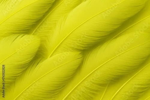 Chartreuse feathers background with monochrome lime tones, suitable for vibrant designs
