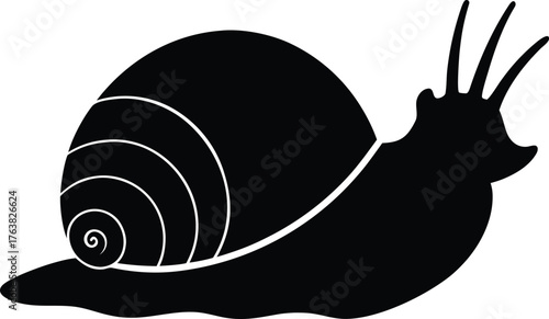 snail sea shell silhouette transparent background