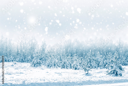 Wallpaper Mural Snow on the trees. Landscape with a winter forest. Torontodigital.ca