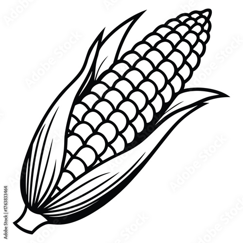 Detailed black and white line drawing illustration of a human ear anatomical medical graphic