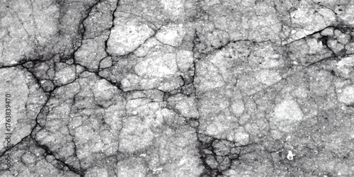 Close-up grayscale texture of cracked asphalt or concrete surface with a detailed mosaic-like pattern of fissures and rough granular material, conveying a sense of age and wear