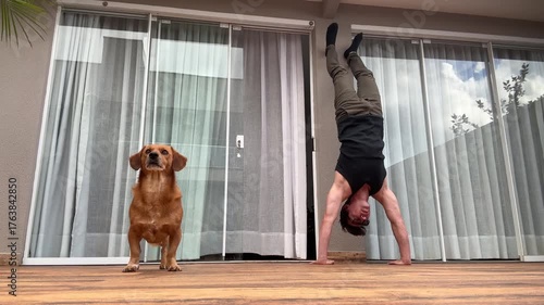 homem junto com cachorro caramelo 