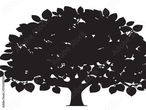 Botanical guava tree shape illustration in elegant 2D vector line art style  