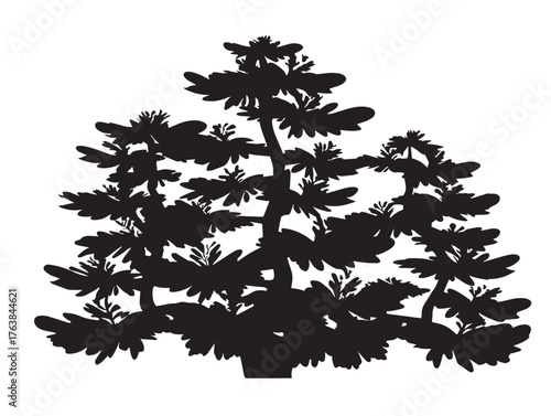 Clean juniper evergreen tree silhouette in graceful 2D vector line art  