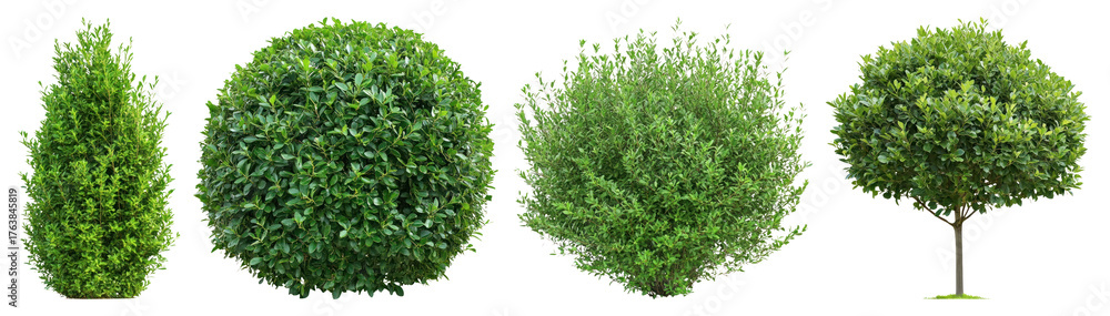 Naklejka premium Diverse green shrub shapes