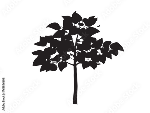 Poplar tree slim silhouette vector line art illustration design