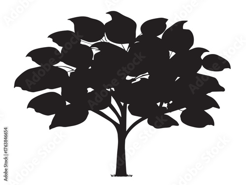 Slender poplar tree silhouette vector line art illustration
