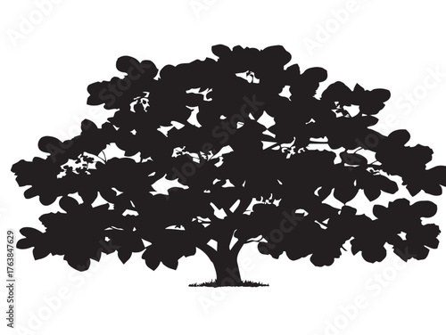 Sycamore tree illustration silhouette icon vector illustration graphic