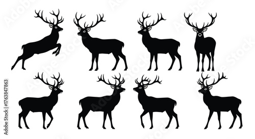 Silhouette of Majestic Deer in Various Poses Against White Background.