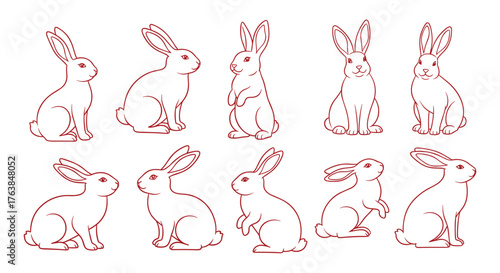 Collection of adorable white rabbits in various poses.