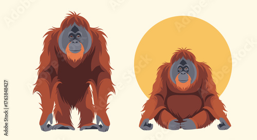 Orangutans in different poses, one standing and one sitting, both facing forward.