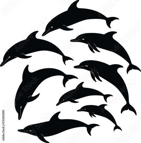 Dolphin silhouettes in black and white ocean wildlife art illustration