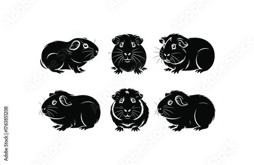 Set of guinea pig silhouettes vector illustration, pet design element collection