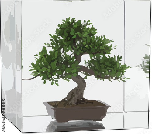 Miniature Tree Inside a Glass Cube on Transparent Background