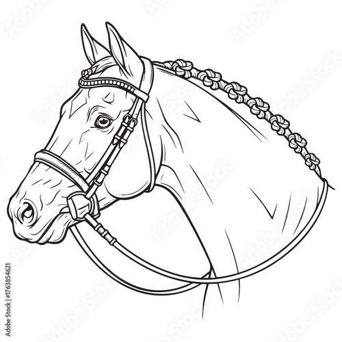 Detailed Horse Head with Bridle and Braided Mane - Equestrian Line Art