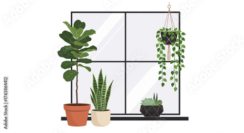 Potted plants on a windowsill in front of a window